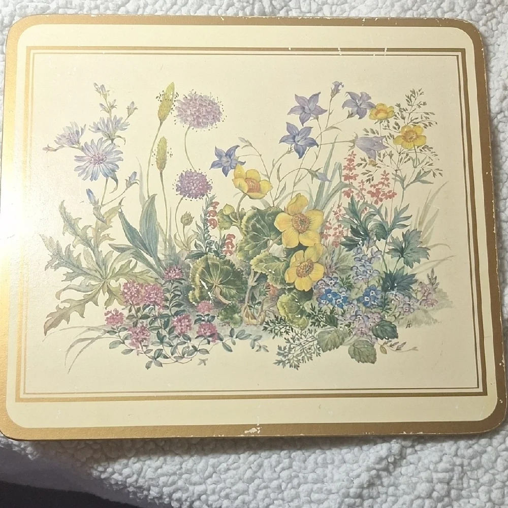 Floral Botanical Print Coasters